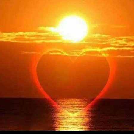 Rainbow 2 Complex 3* ساني بيتش